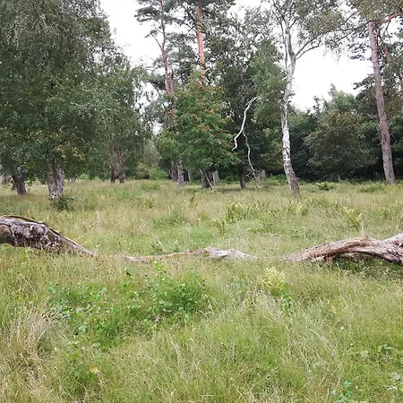Feriehus 6 Person In Idestrup *
